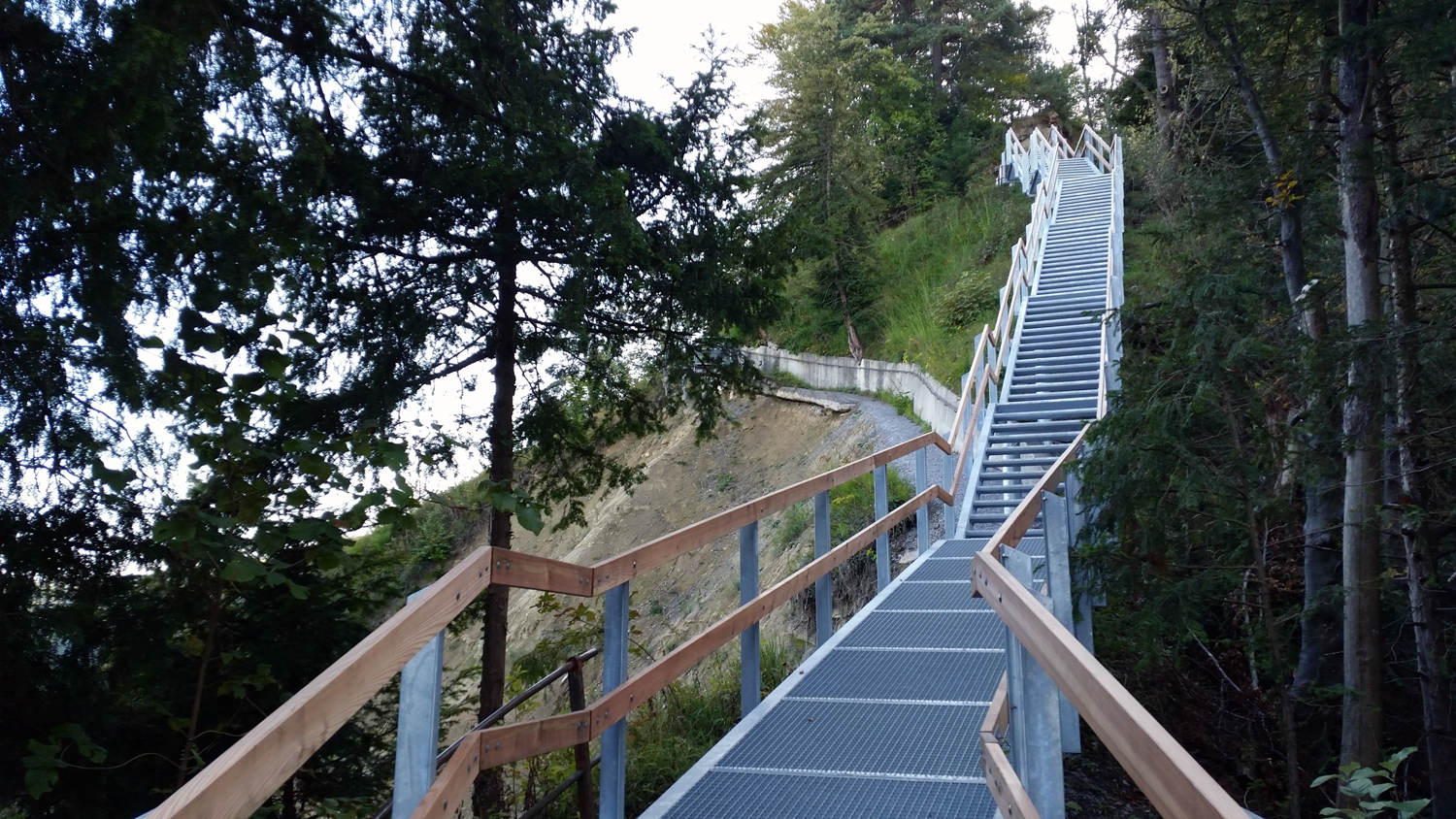 Neue Treppe Uetliberg