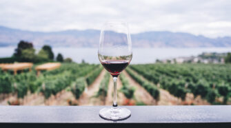 Weinglas: Techniken, um die Flasche Wein auszuwählen, die am besten zu Ihrem Gericht passt