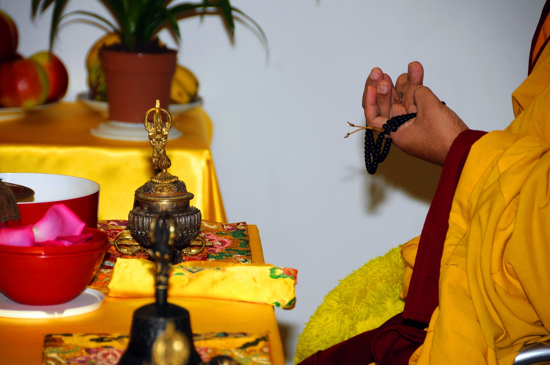 Akupunktur Traditioneller Tibetischer Medizin